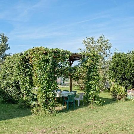 B&B Casa Betulla Pisa Exterior foto