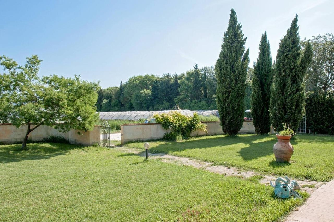 B&B Casa Betulla Pisa Exterior foto